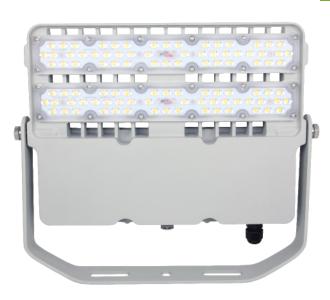 LED Floodlight FDL06